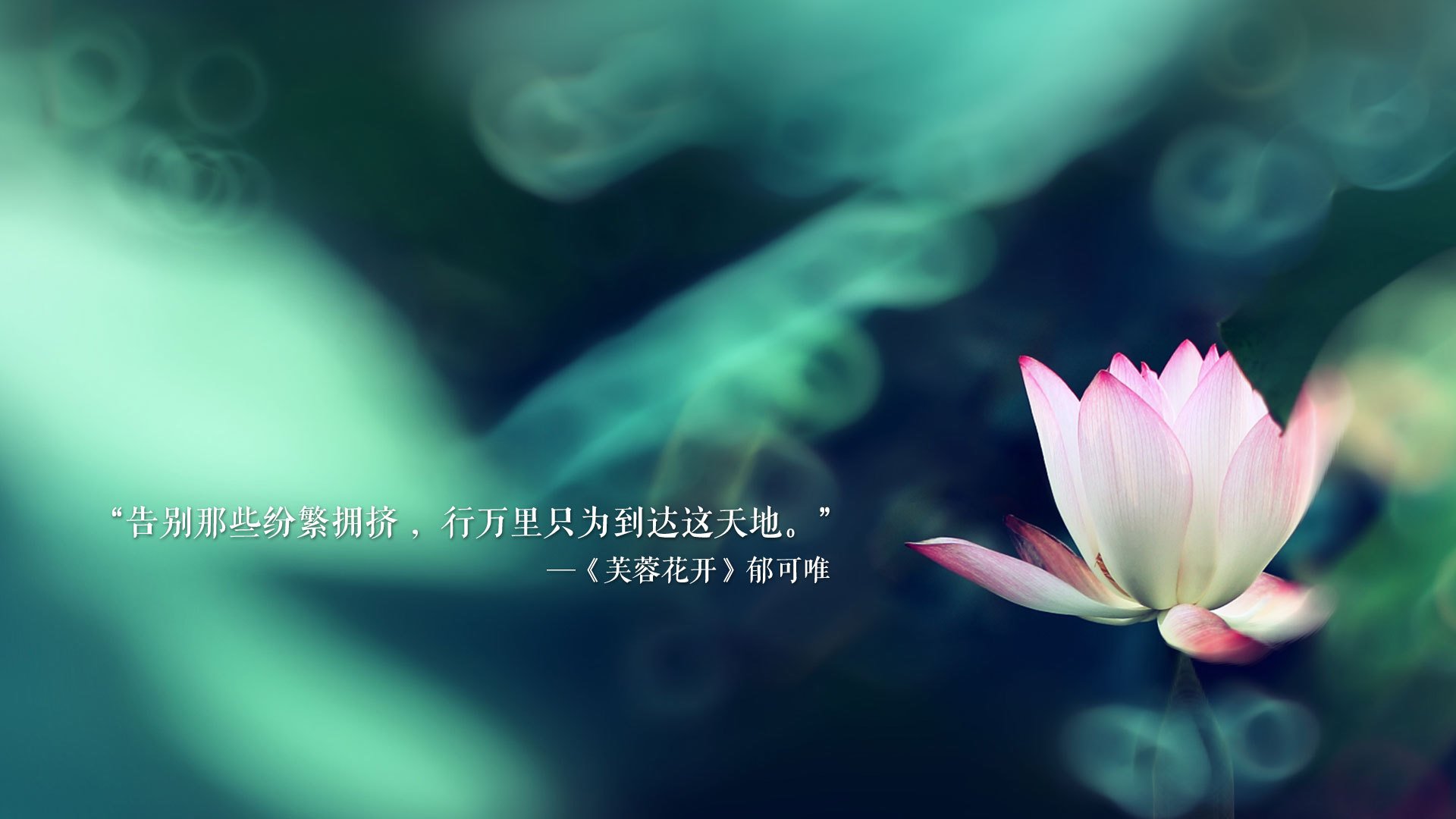 随机上海海港备战重要联赛比赛，上海海港比赛地点