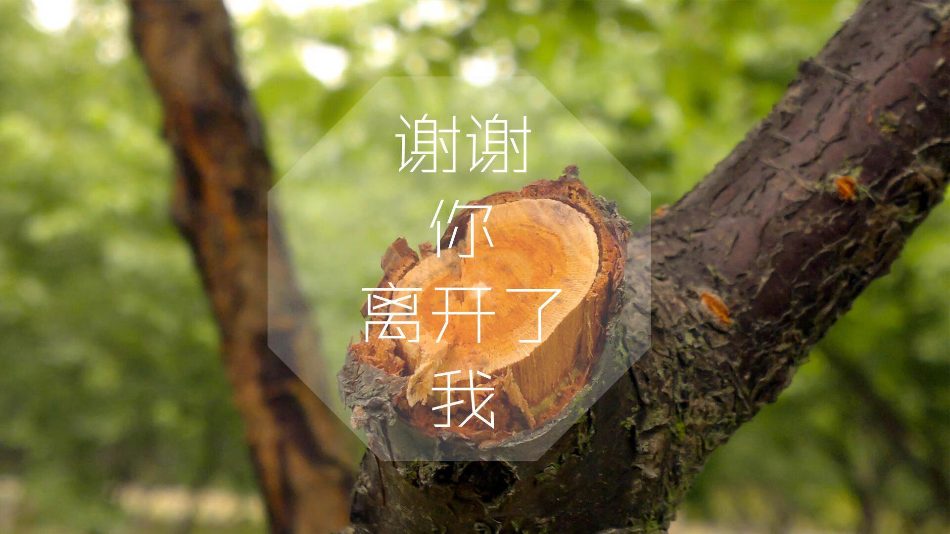随机公牛完封尼克斯，系列赛焦点战中德罗赞锁死对手，公牛对尼克斯1993