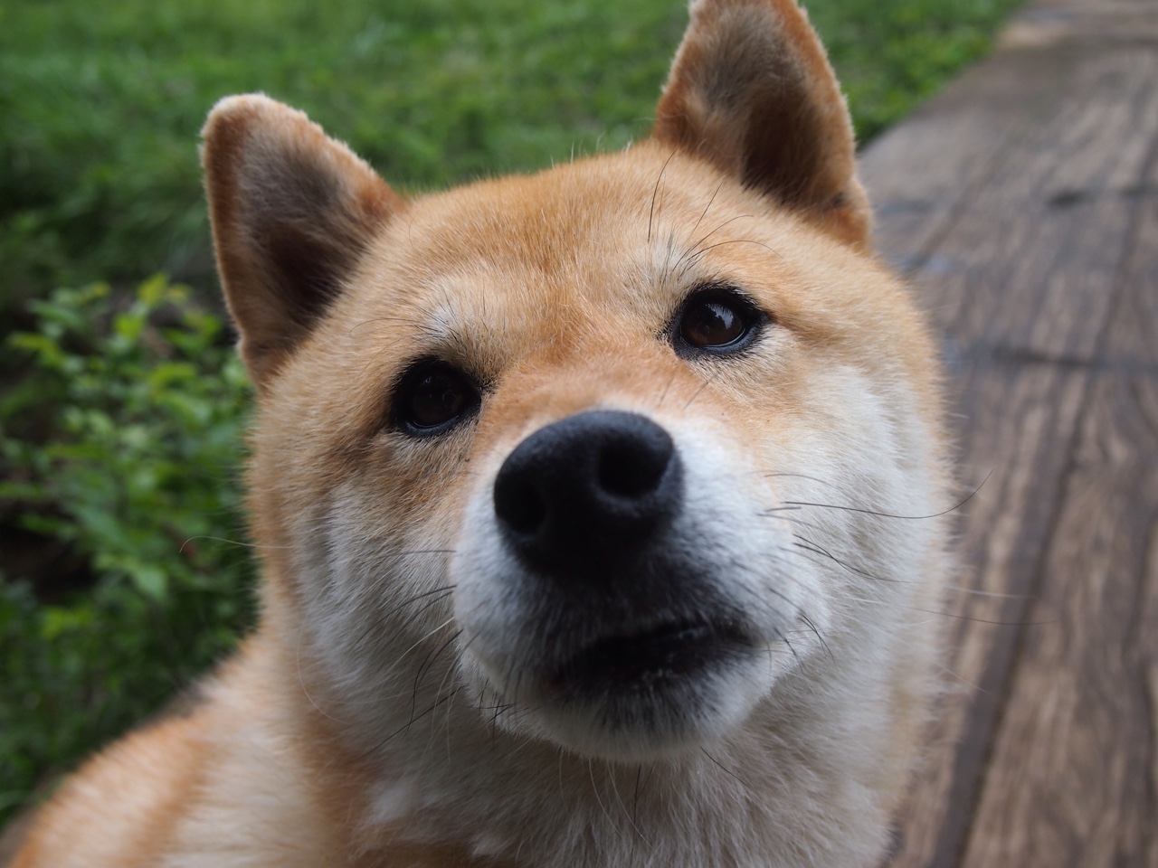 九游网页版官网入口-新疆男篮多点发力通过整体配合赢得胜利，新疆男篮好消息