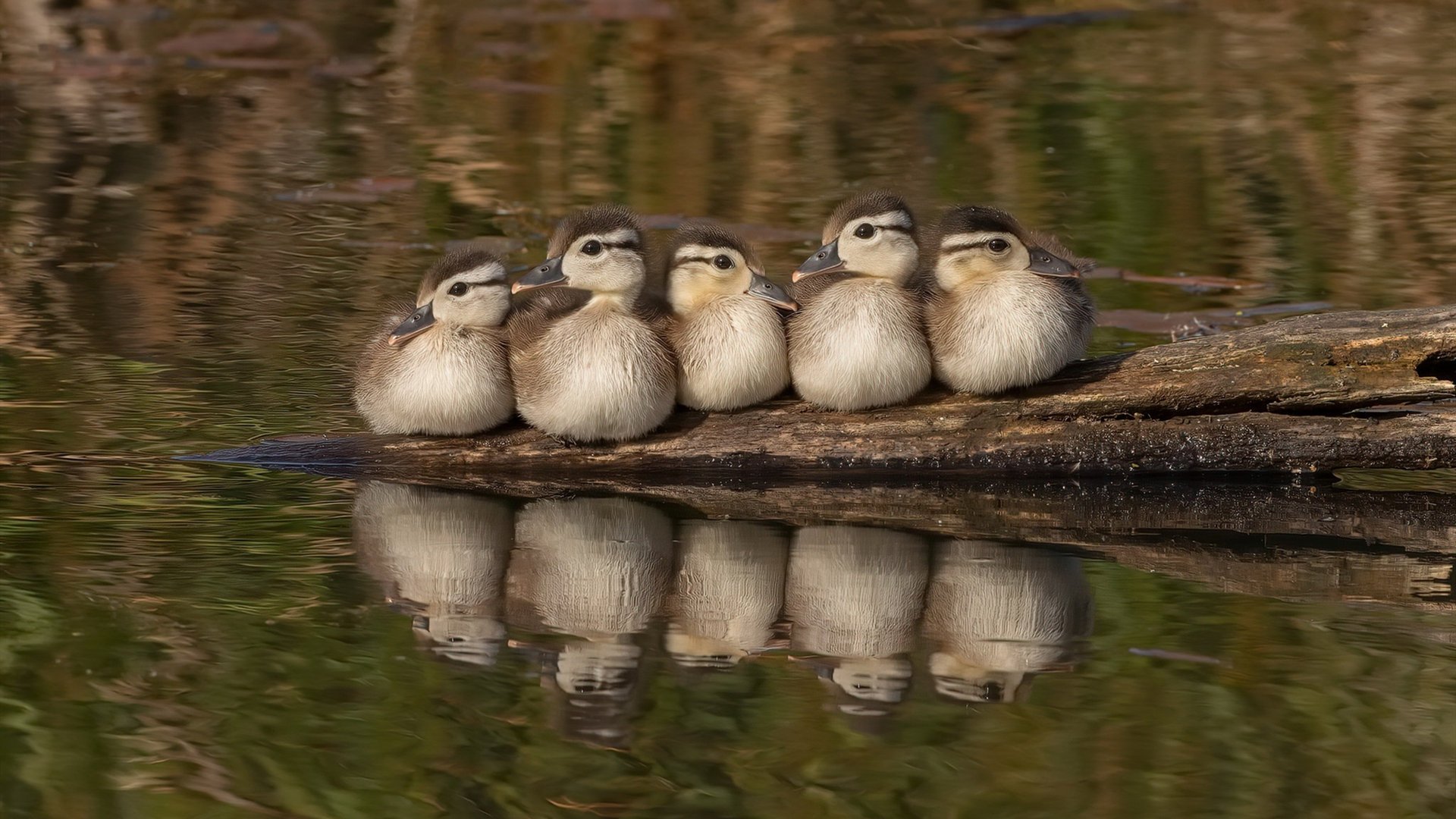 九游娱乐-校园足球训练手段未实现智能化追踪，校园足球训练手段未实现智能化追踪怎么办