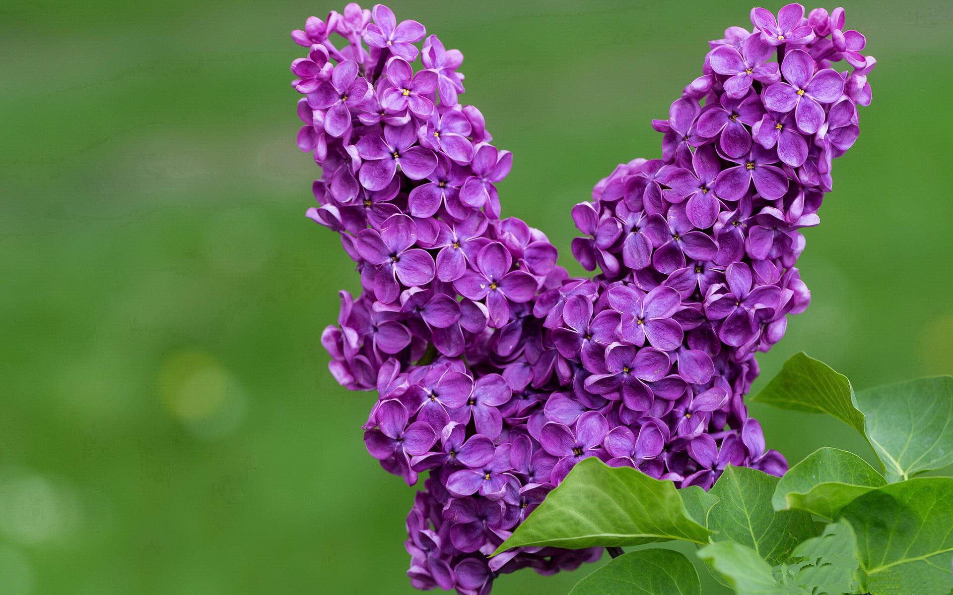 九游娱乐官网 (JIUYOU)-国家体育发展中心公布体育公益项目资助名单，国家体育扶持资金申请