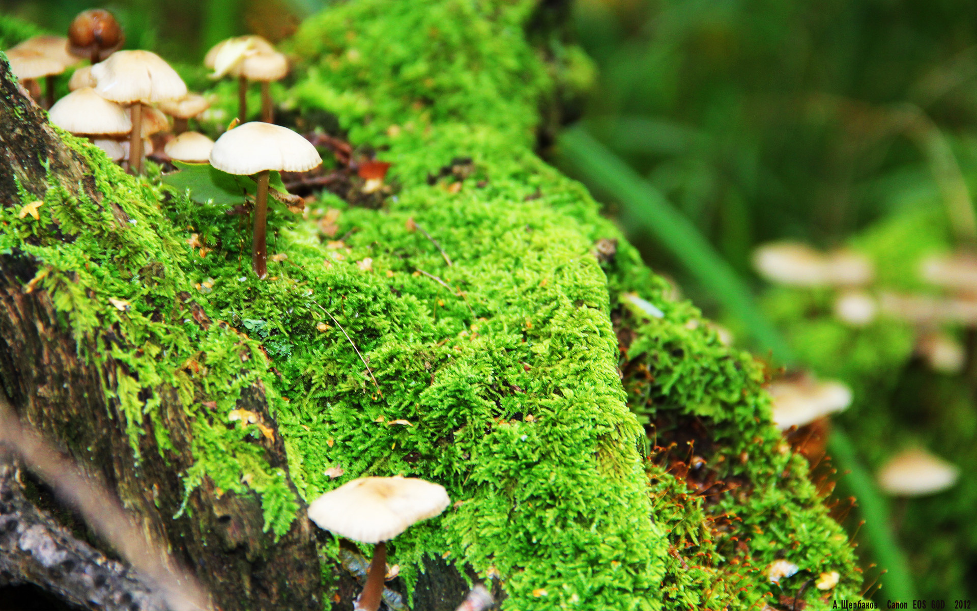 九游官网pc-媒体盘点赛季进步最快球员我队新星入选榜单榜首，本赛季最快进步球员