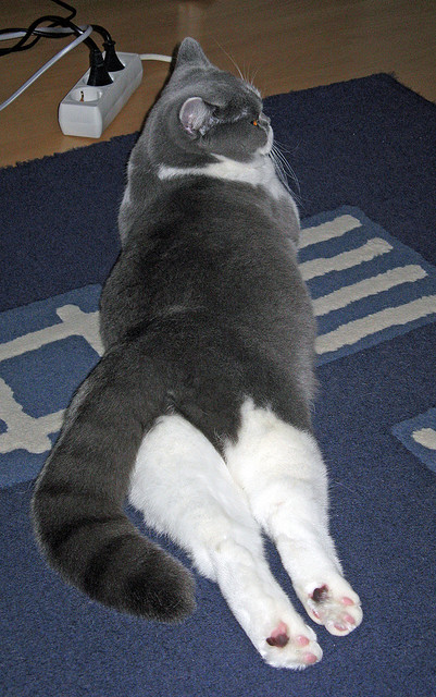 九游登录中心-库里关键三分勇士终结连败，库里三分夺冠