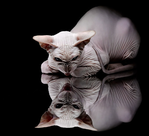 九游(jiuyou)官方网站-校园足球教师培训机制建立提升教学实践能力，校园足球教师培训心得体会